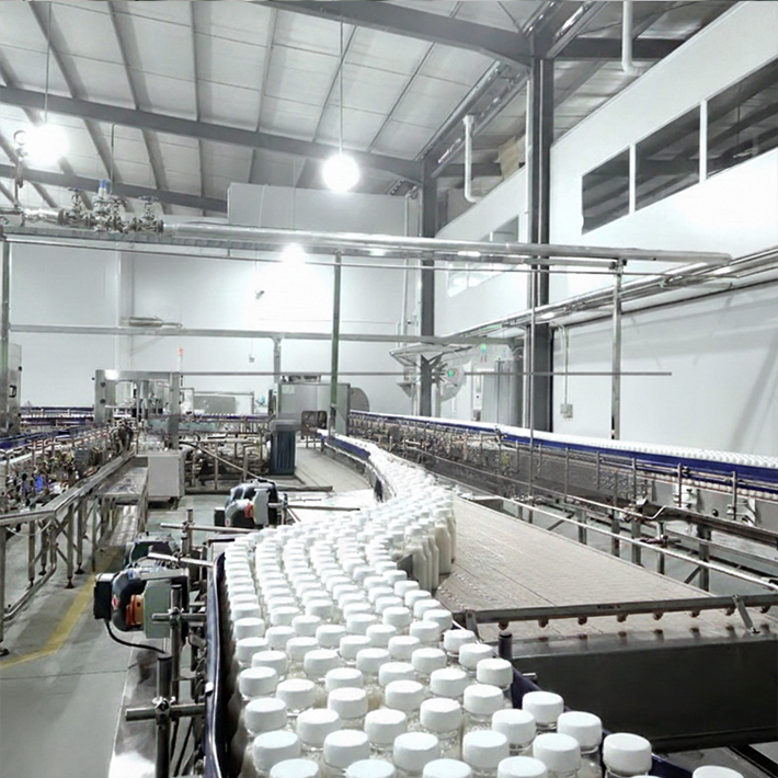 Bottle Conveying System - Image 3