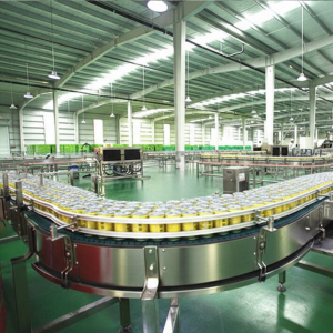 Bottle Conveying System - Thumbnail 2