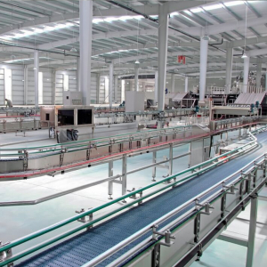 Bottle Conveying System - Thumbnail 1