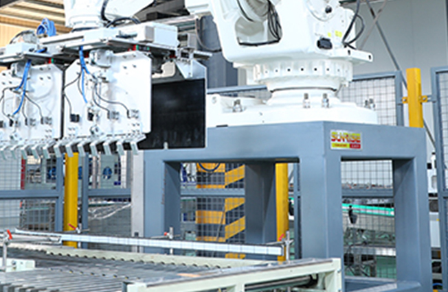 Robot Palletizing Machine - Product Details 2